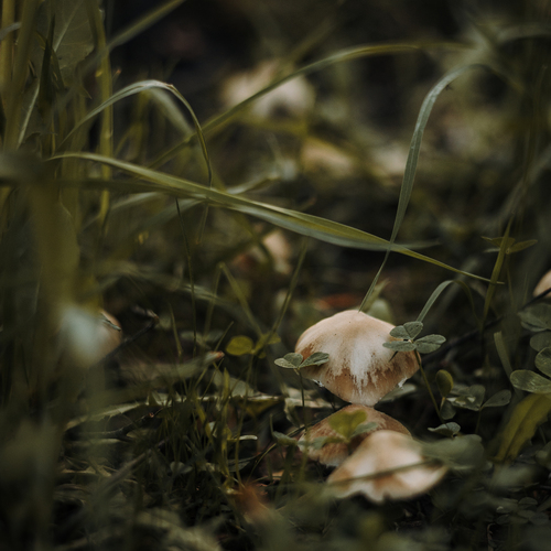 Photo #13939738