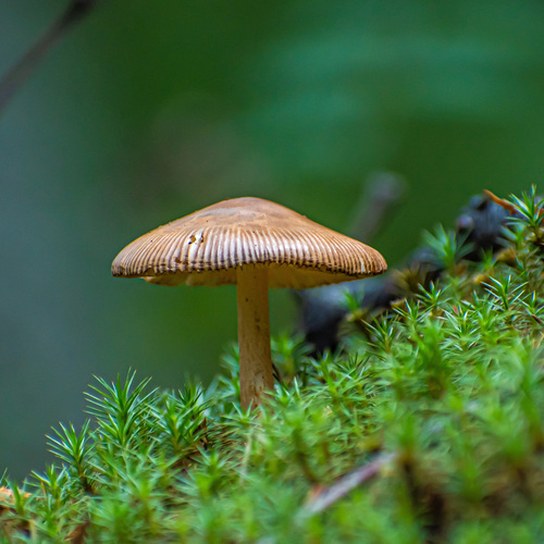 Photo #13939867
