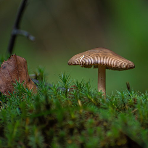 Photo #13939868