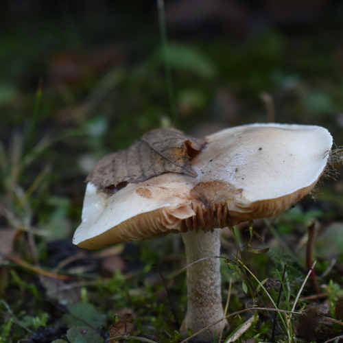 Photo #13940009