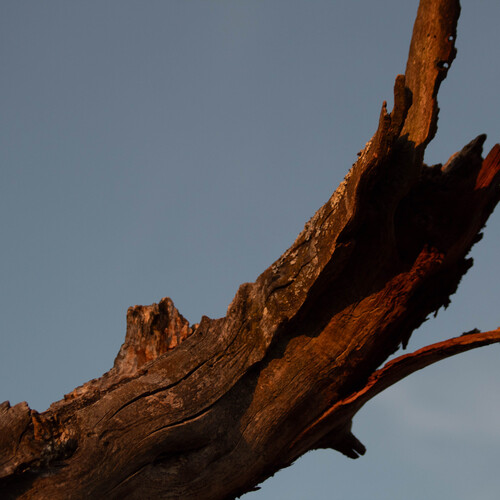 Photo #13940023