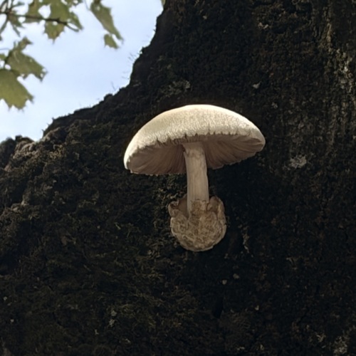 Photo #13940076