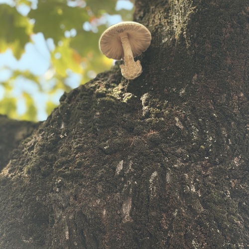 Photo #13940077