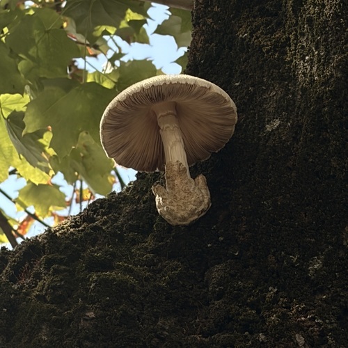 Photo #13940078