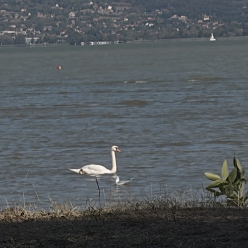 Photo #13940080