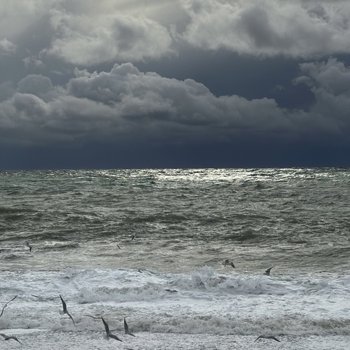 Photo #13940189