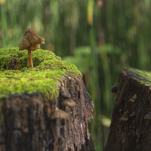 Photo #13940324