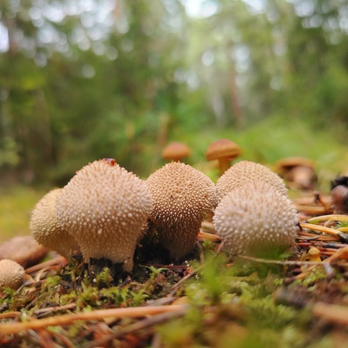 Photo #13940523