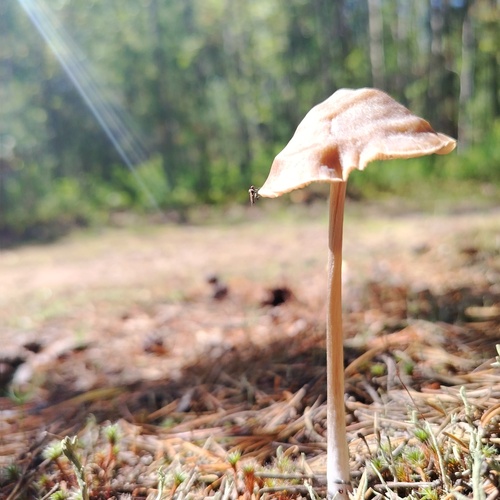 Photo #13940528