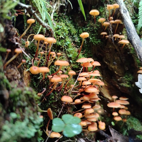 Photo #13940529