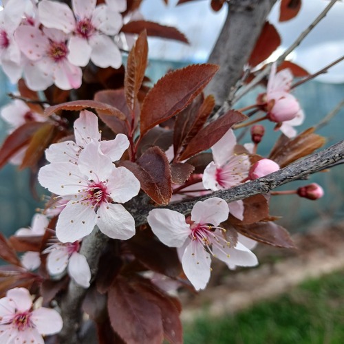 Photo #13940550