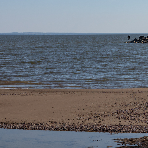Photo #13940557