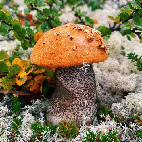Photo #13940592