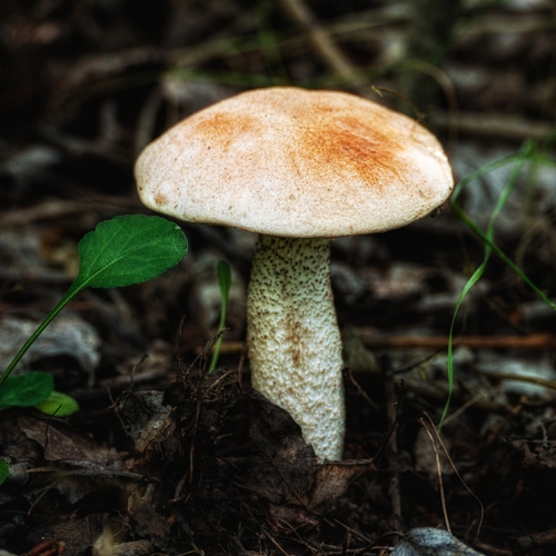 Photo #13940644