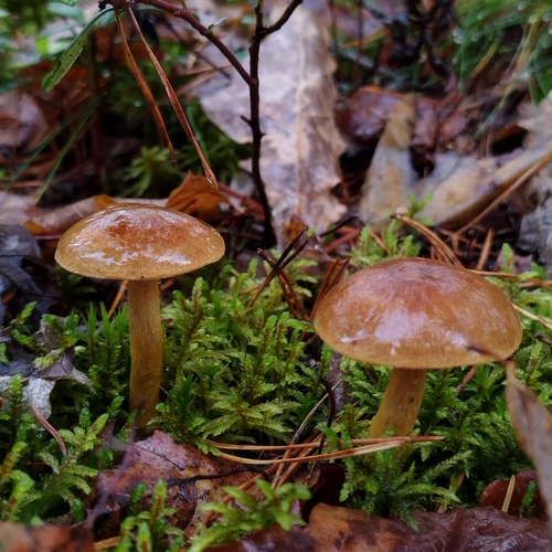 Photo #13940727