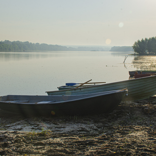 Photo #13940815