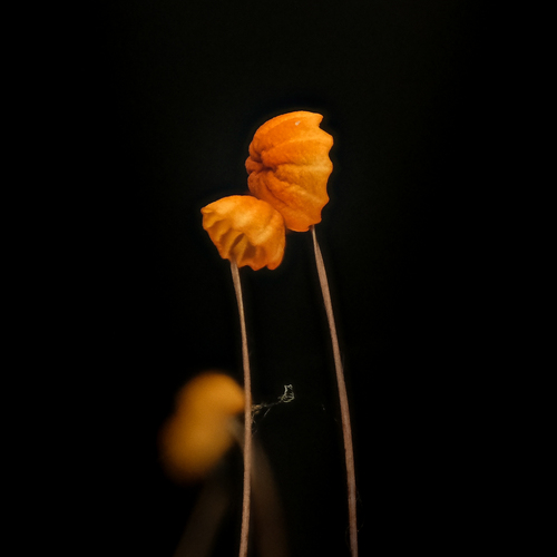 Photo #13940828
