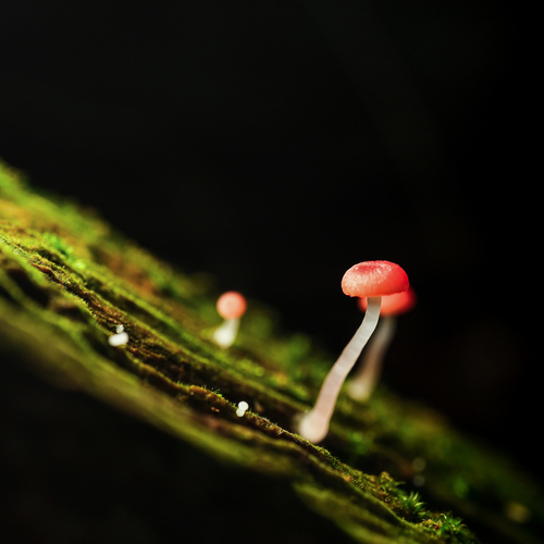 Photo #13940829