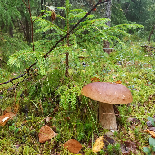 Photo #13940926
