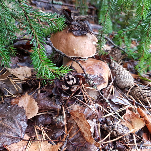 Photo #13940928