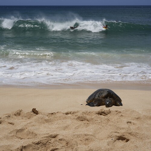 Photo #13941257