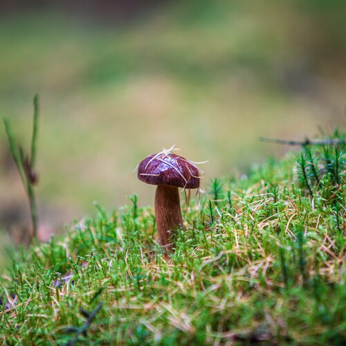 Photo #13941405