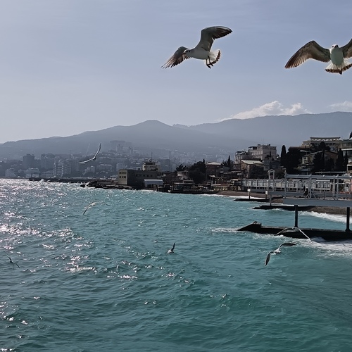 Photo #13941654