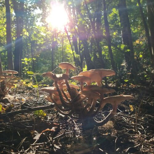 Photo #13941796