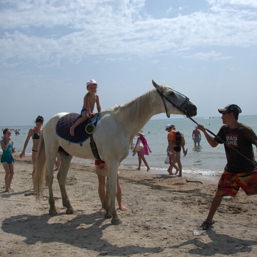 Photo #13942157