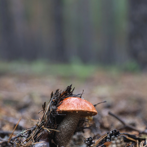 Photo #13942219