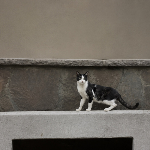 Photo #13942229