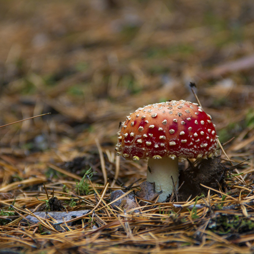 Photo #13942235