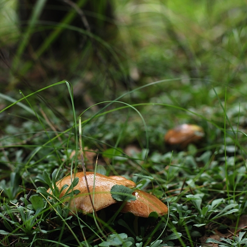 Photo #13942247