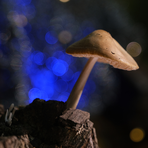 Photo #13942345