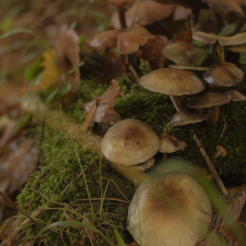 Photo #13942389