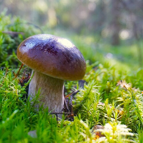 Photo #13942400