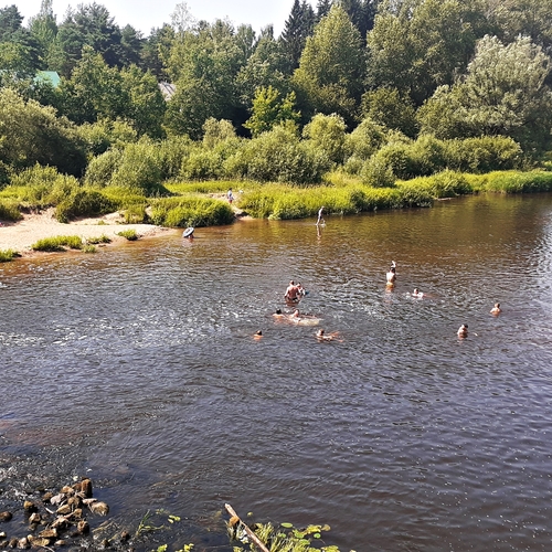 Photo #13942439