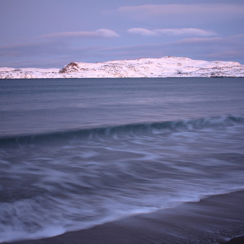 Photo #13942502