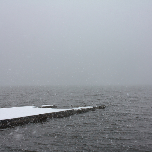 Photo #13942517