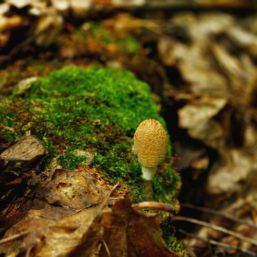 Photo #13942592