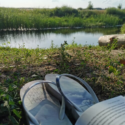 Photo #13942601