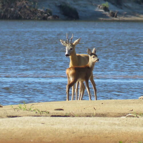 Photo #13942888