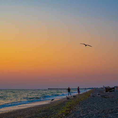 Photo #13942923