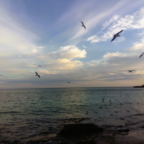 Photo #13942999