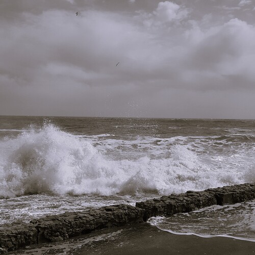 Photo #13943000