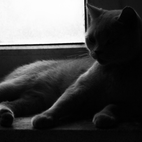 Photo #13943075