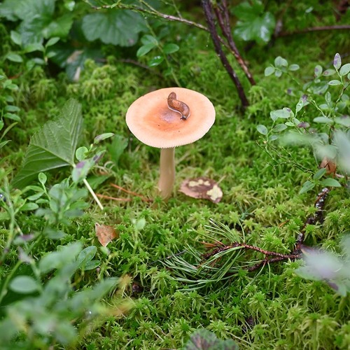 Photo #13943249