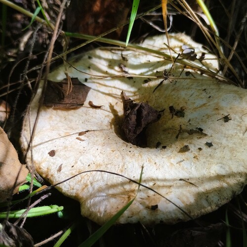 Photo #13943298