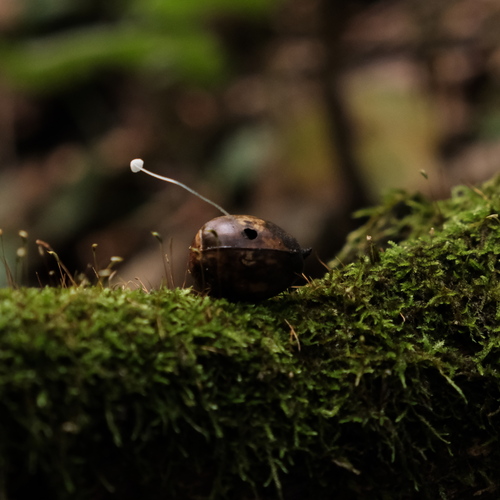 Photo #13943573