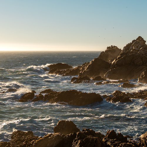 Photo #13943594